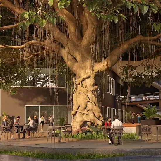 Seating around a 100-year-old banyan tree at Brigade Citadel